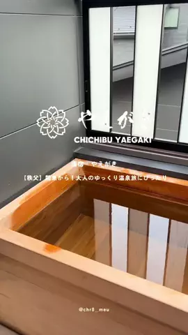 ちーのおでかけのTikTok投稿