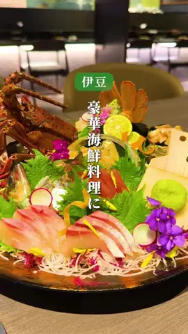 もじゃたび⌇静岡発✈︎旅行・観光・ホテルのTikTok投稿