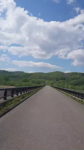 グーのTikTok投稿
