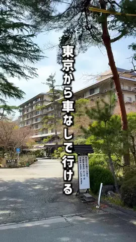 もじゃたび⌇静岡発✈︎旅行・観光・ホテルのTikTok投稿