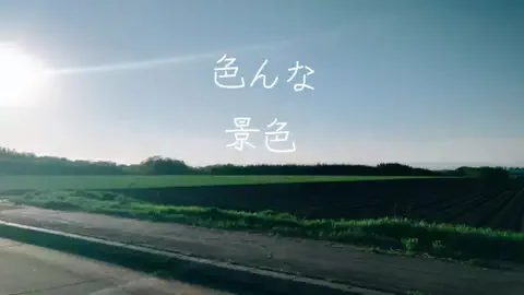 グーのTikTok投稿