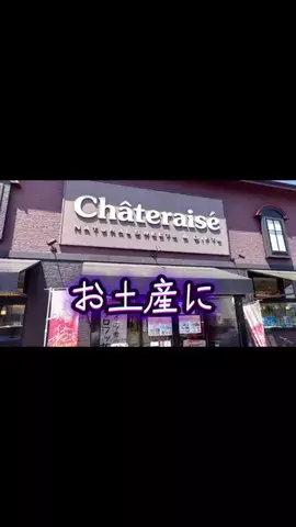 グーのTikTok投稿