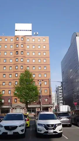 グーのTikTok投稿