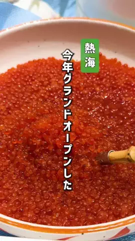 もじゃたび⌇静岡発✈︎旅行・観光・ホテルのTikTok投稿