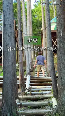 もじゃたび⌇静岡発✈︎旅行・観光・ホテルのTikTok投稿