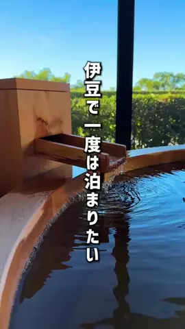 もじゃたび⌇静岡発✈︎旅行・観光・ホテルのTikTok投稿