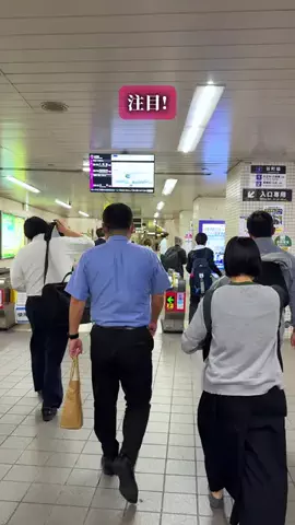ひろと / 大阪発！関西トレンド独占旅🔥のTikTok投稿