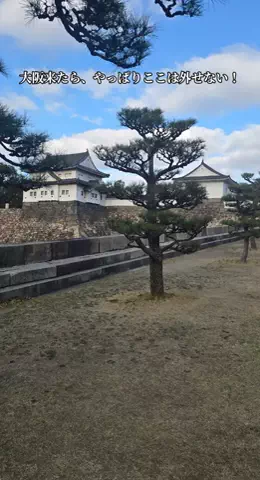 ℂ𝕆ℂ𝕆𝔸のTikTok投稿