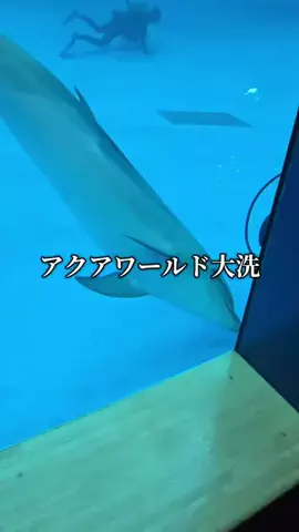ℂ𝕆ℂ𝕆𝔸のTikTok投稿