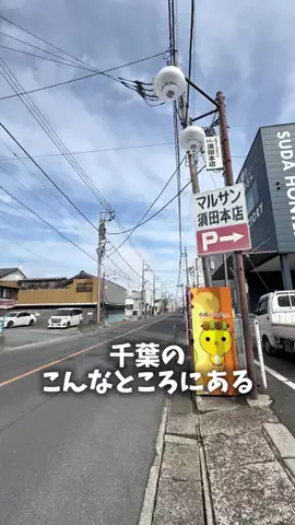 たかぎ🐼 10/24第7回オフ会開催！のTikTok投稿