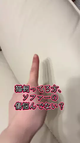 🩵👑💛でんちゅう And レトビのTikTok投稿