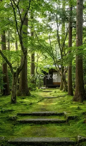 ホカンス日記 🌿のTikTok投稿