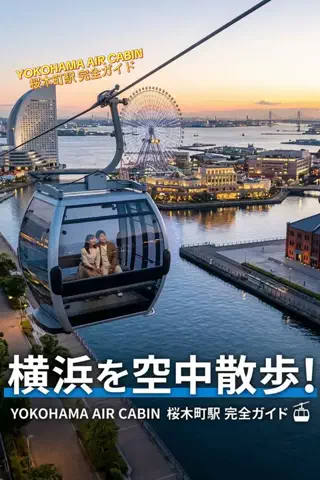 ホカンス日記 🌿のTikTok投稿