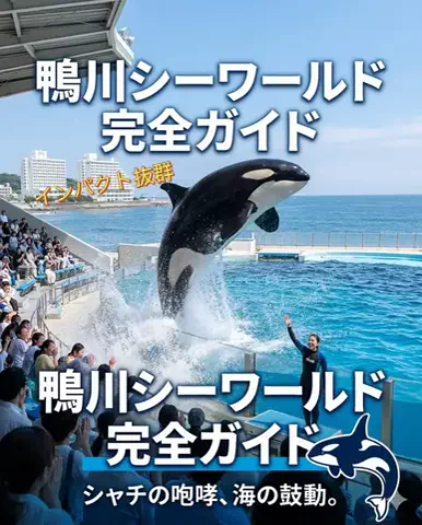 ホカンス日記 🌿のTikTok投稿