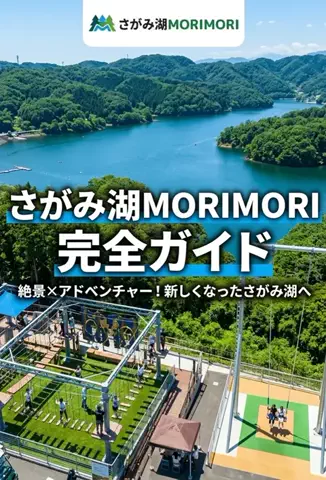 ホカンス日記 🌿のTikTok投稿