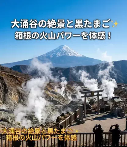 ホカンス日記 🌿のTikTok投稿
