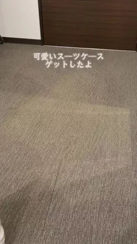 みさ |  ゆったり大人の休日旅のTikTok投稿
