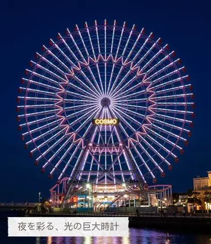 ホカンス日記 🌿のTikTok投稿