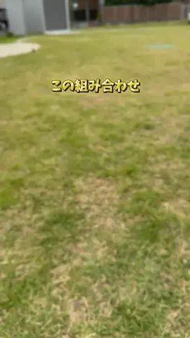 みさ |  ゆったり大人の休日旅のTikTok投稿