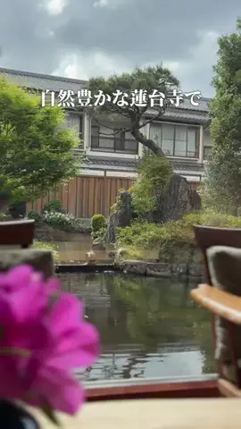 みさ |  ゆったり大人の休日旅のTikTok投稿