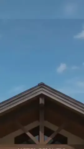 ハムチーズのTikTok投稿