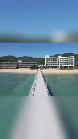 ハムチーズのTikTok投稿