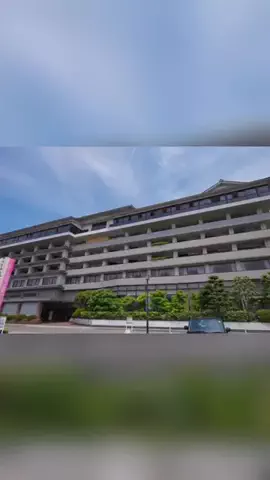 ハムチーズのTikTok投稿