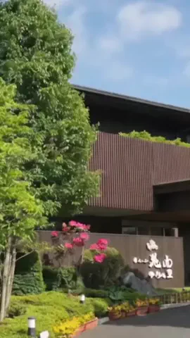 ハムチーズのTikTok投稿