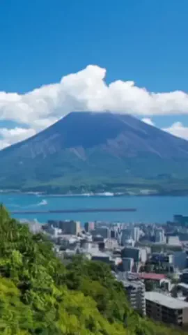 ハムチーズのTikTok投稿