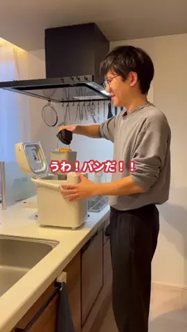 たつごろうのTikTok投稿