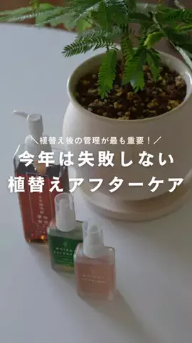 かい | 園芸インストラクターのTikTok投稿