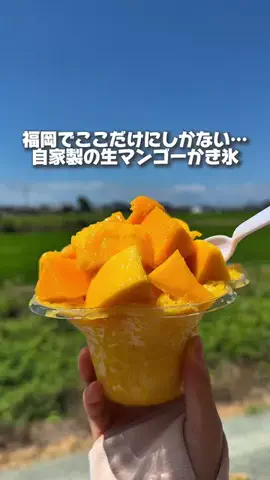 カイセイの九州旅🏃🏻‍♂️👍🏻のTikTok投稿