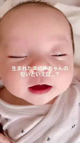 いろくんのTikTok投稿