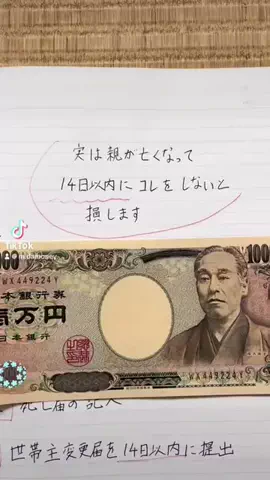 資産形成ガチDのTikTok投稿