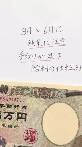 資産形成ガチDのTikTok投稿