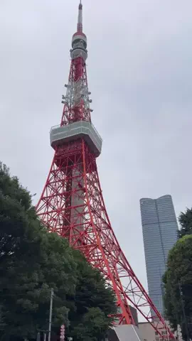 500円娯楽🌻🐬よっすぃ〜のTikTok投稿