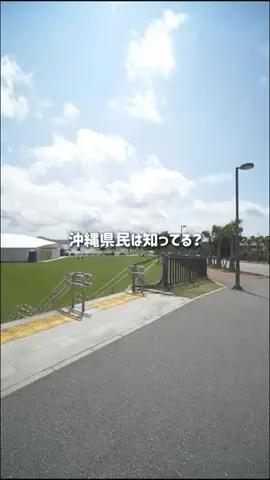 沖縄グルメ／OKINAWA SELECTのTikTok投稿