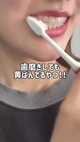 🦋あいる🦋のTikTok投稿