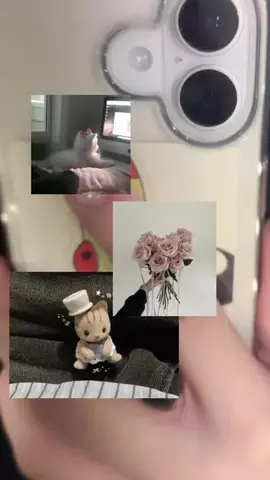 ほにょぺにょこのTikTok投稿
