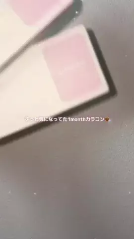 ほにょぺにょこのTikTok投稿
