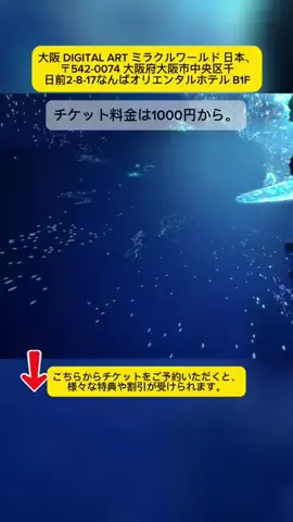 𝐀𝐧𝐡𝐭𝐡𝐨̣🇯🇵𝟏𝟐のTikTok投稿