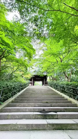 yuu | ソロ活＊湘南グルメのTikTok投稿