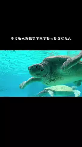 ASUKA_旅のガイドブックのTikTok投稿