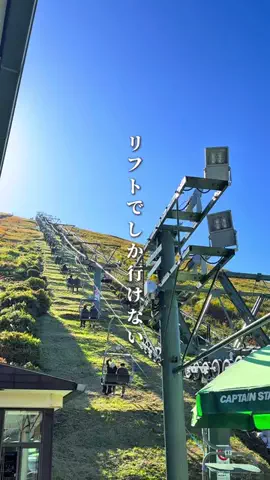 シュン | 大人の休日ガイドのTikTok投稿