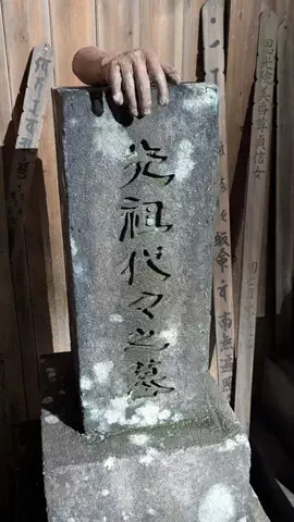 見遊児亜夢｜関西ミュージアムガイドのTikTok投稿