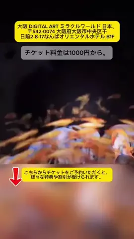 𝐀𝐧𝐡𝐭𝐡𝐨̣🇯🇵𝟏𝟐のTikTok投稿