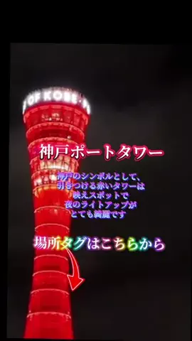 Skydaruma(ダルちゃん)のTikTok投稿