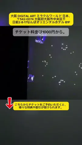 𝐀𝐧𝐡𝐭𝐡𝐨̣🇯🇵𝟏𝟐のTikTok投稿