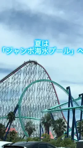Skydaruma(ダルちゃん)のTikTok投稿