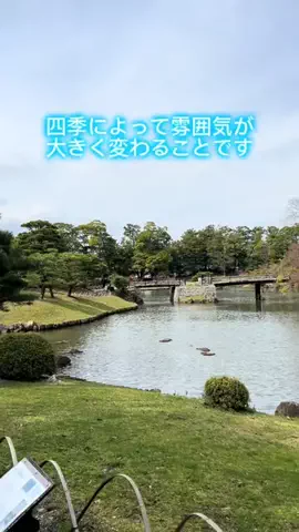 Skydaruma(ダルちゃん)のTikTok投稿